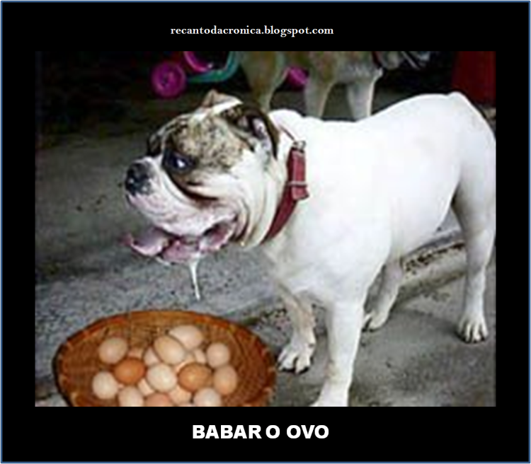 Слюнявый бульдог