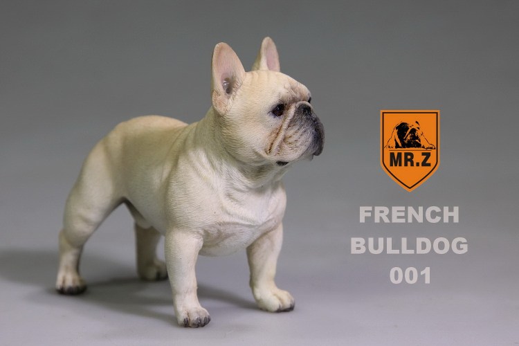 Собака французский бульдог