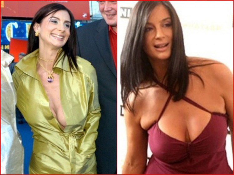 Английский кокер спаниель 5 месяцев