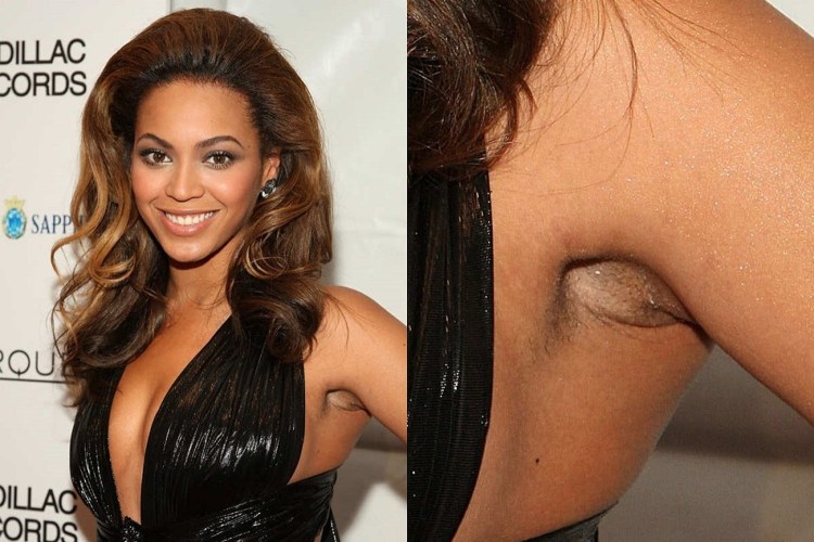 Бленхейм спаниель