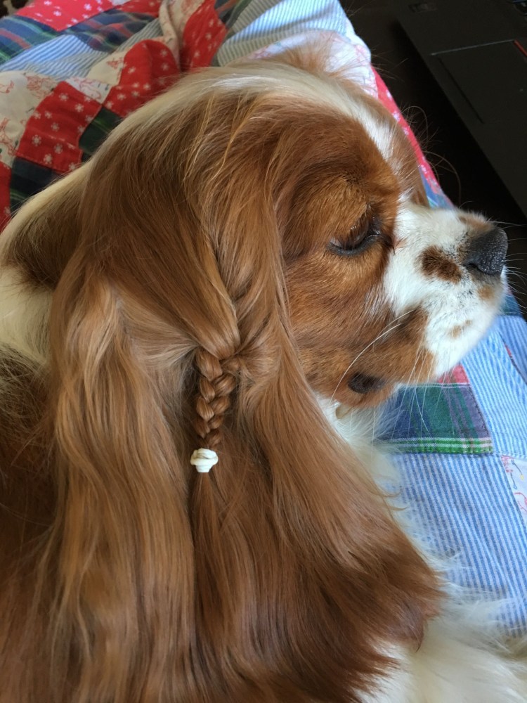 Связала свитер юмор