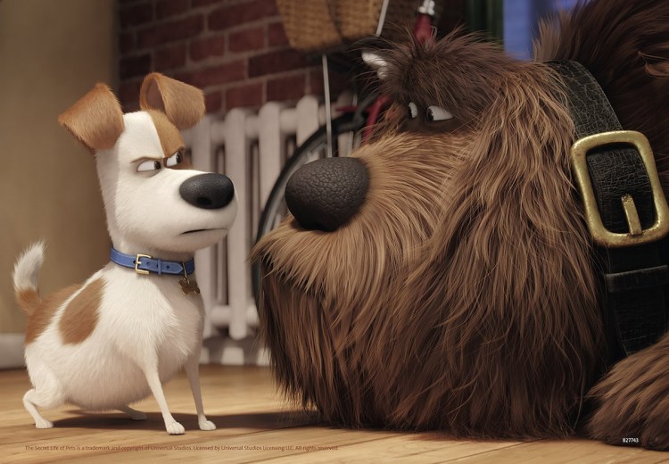 Тайная жизнь домашних животных 2 Дюк