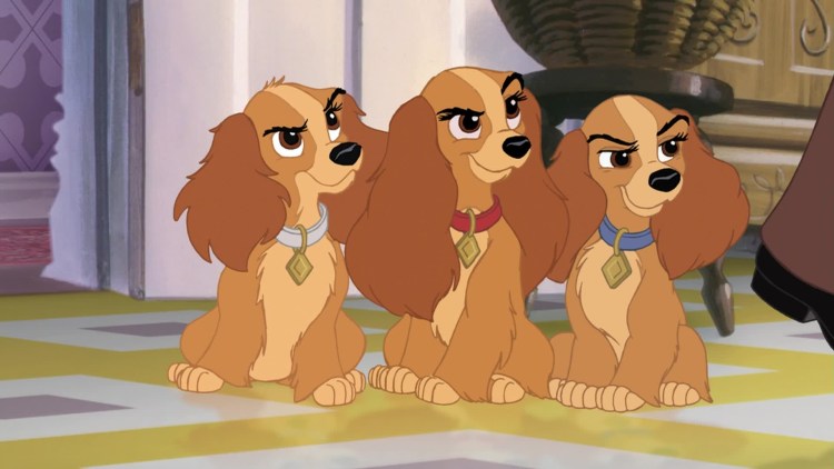 Леди и Бродяга 2 сестры шалуна