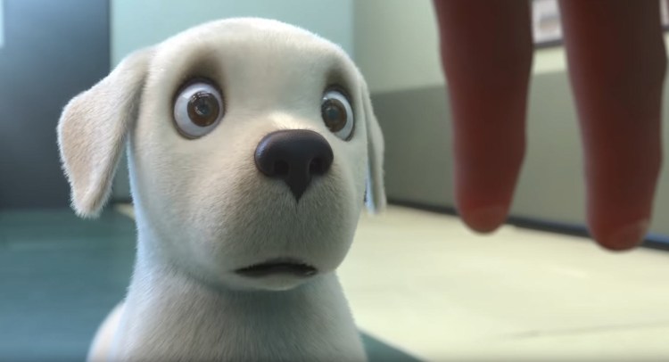 Короткометражка про собаку