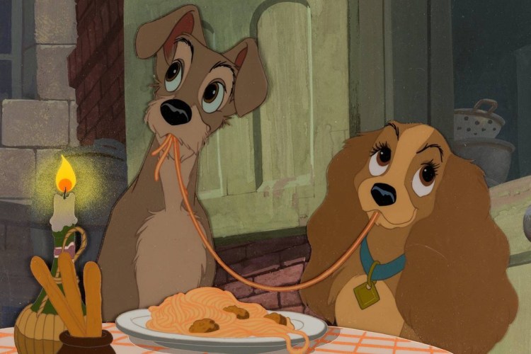 Леди и Бродяга мультфильм 1955