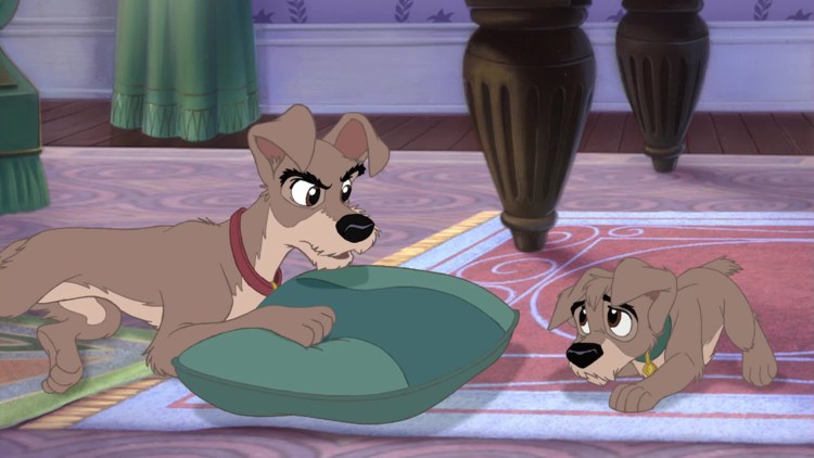 Леди и Бродяга приключения шалуна