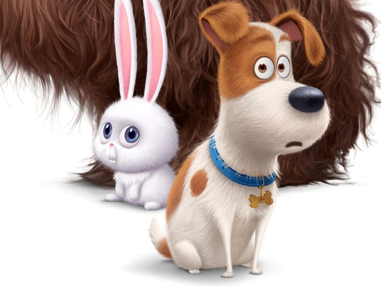 Тайная жизнь домашних животных мультфильм 2016