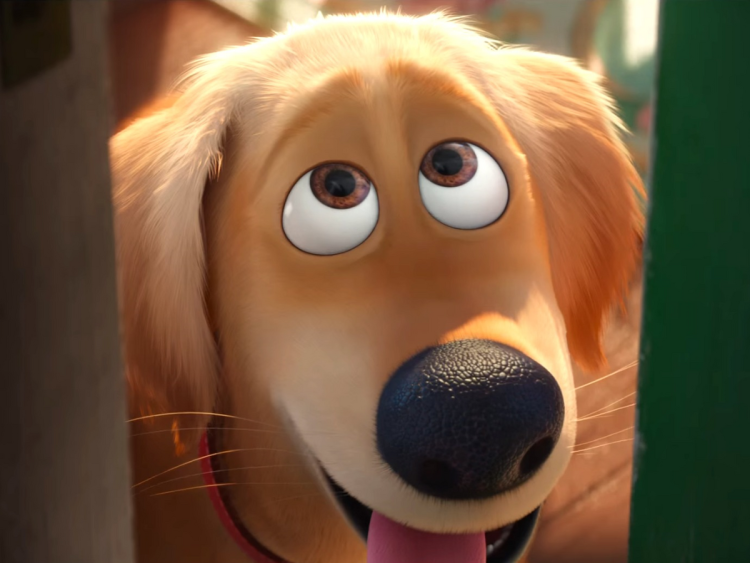 Мультик про собак