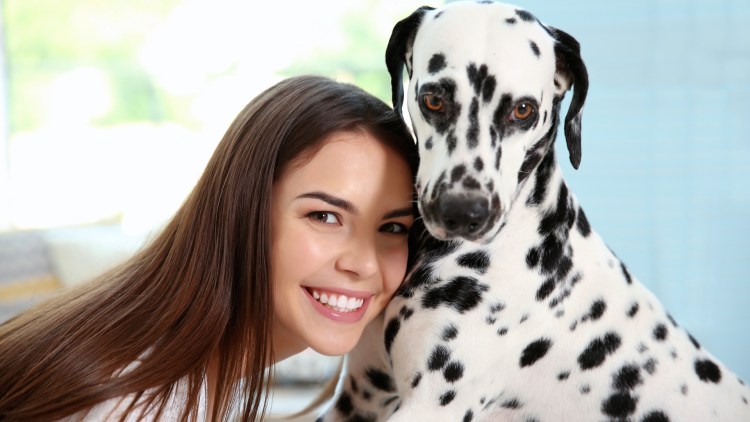 Далматин с человеком