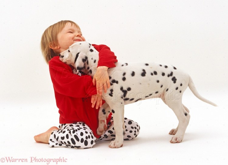 Далматинец и дети