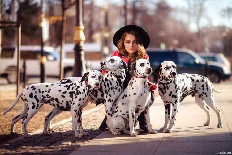 Карева Маргарита Далматинцы