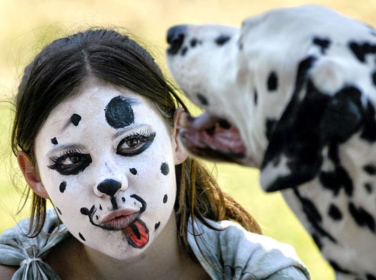 Далматин с человеком