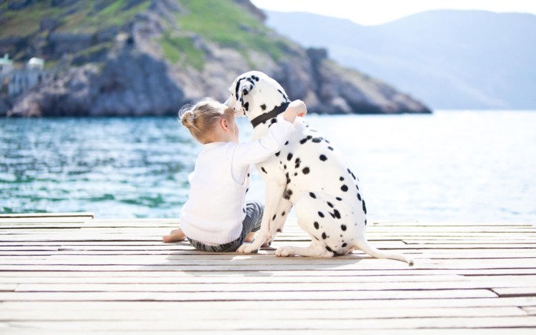 CTV m2702md (белый)