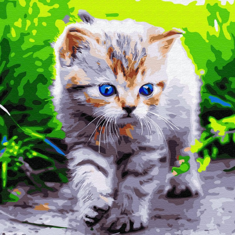 Красивые котята