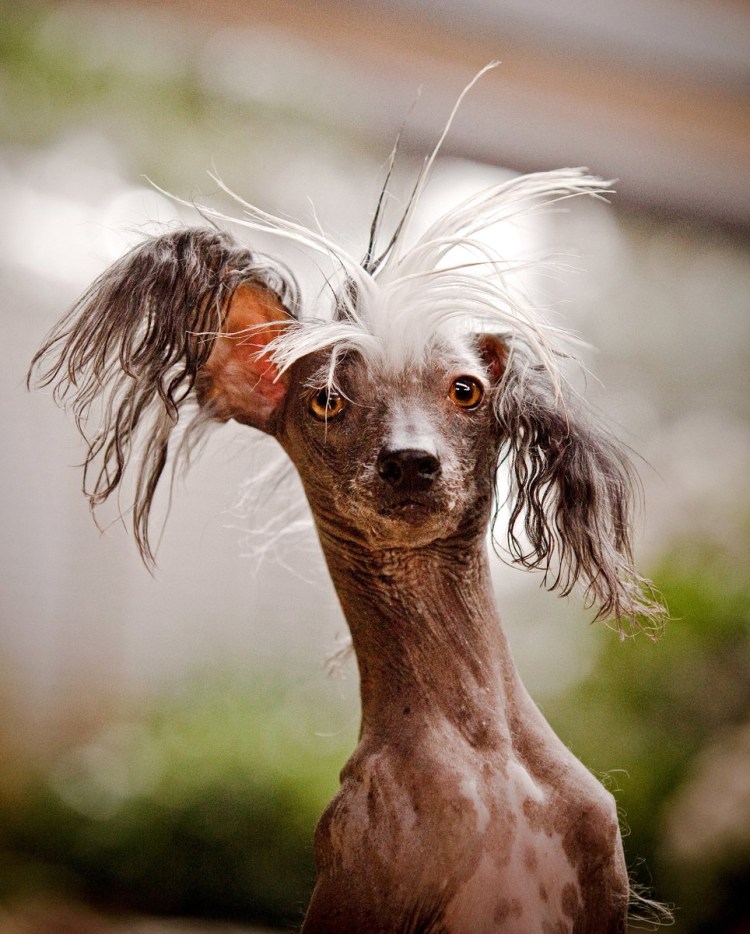 Понедельник доброе утро смешные