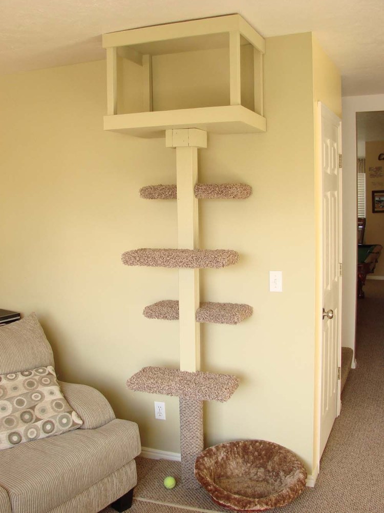 Кошачий домик на стене