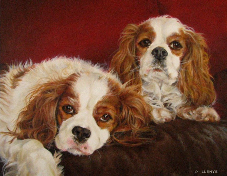 Чарльз Генри спаниель