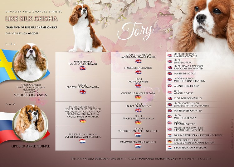 Родословная Кинг Чарльз спаниель