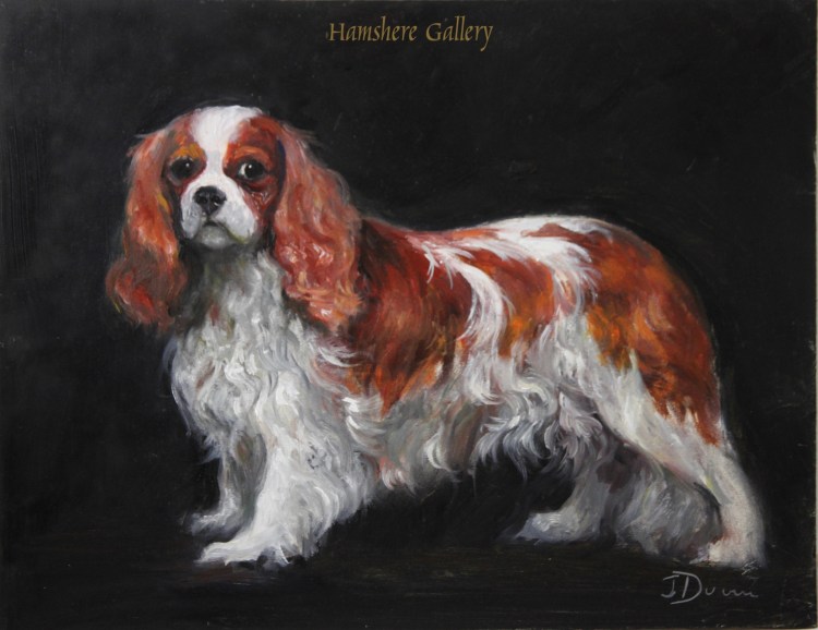 Чарльз Ричардс спаниель