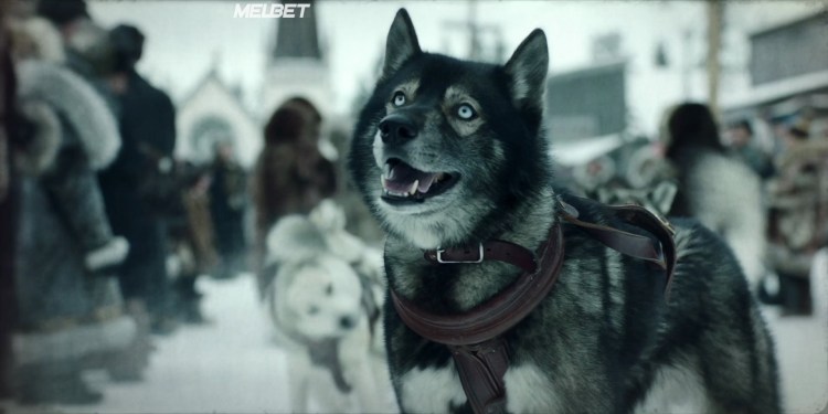 Того / Togo (2019)