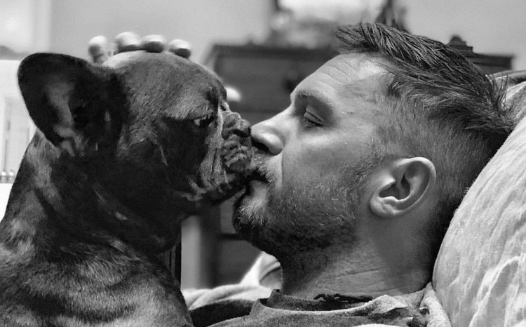 Того Togo 2019 фильм