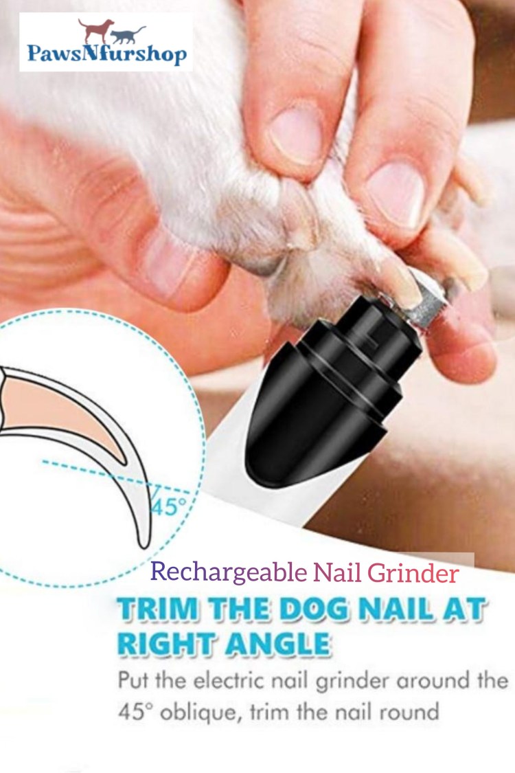 Как обрезать когти собаке в домашних условиях когтерезкой