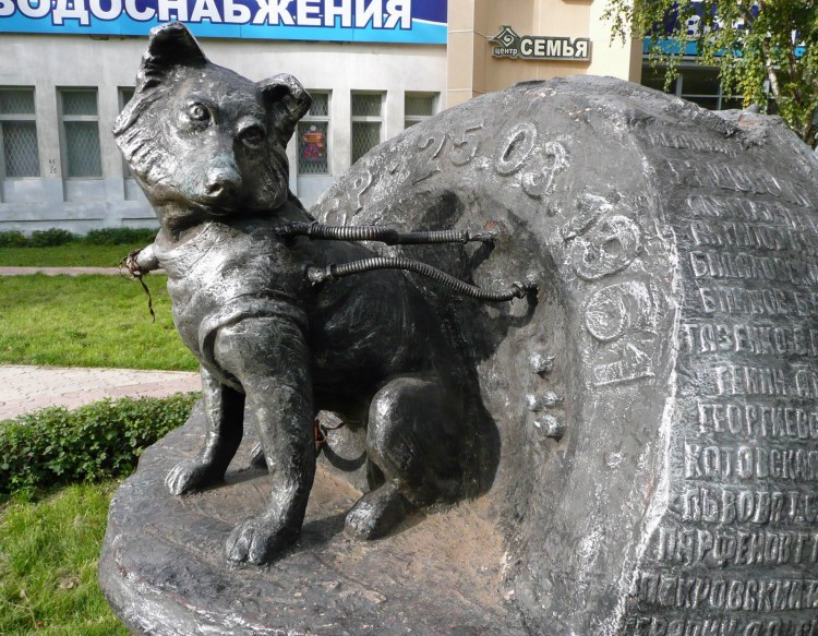 Памятник собаке Балто в Нью-Йорке