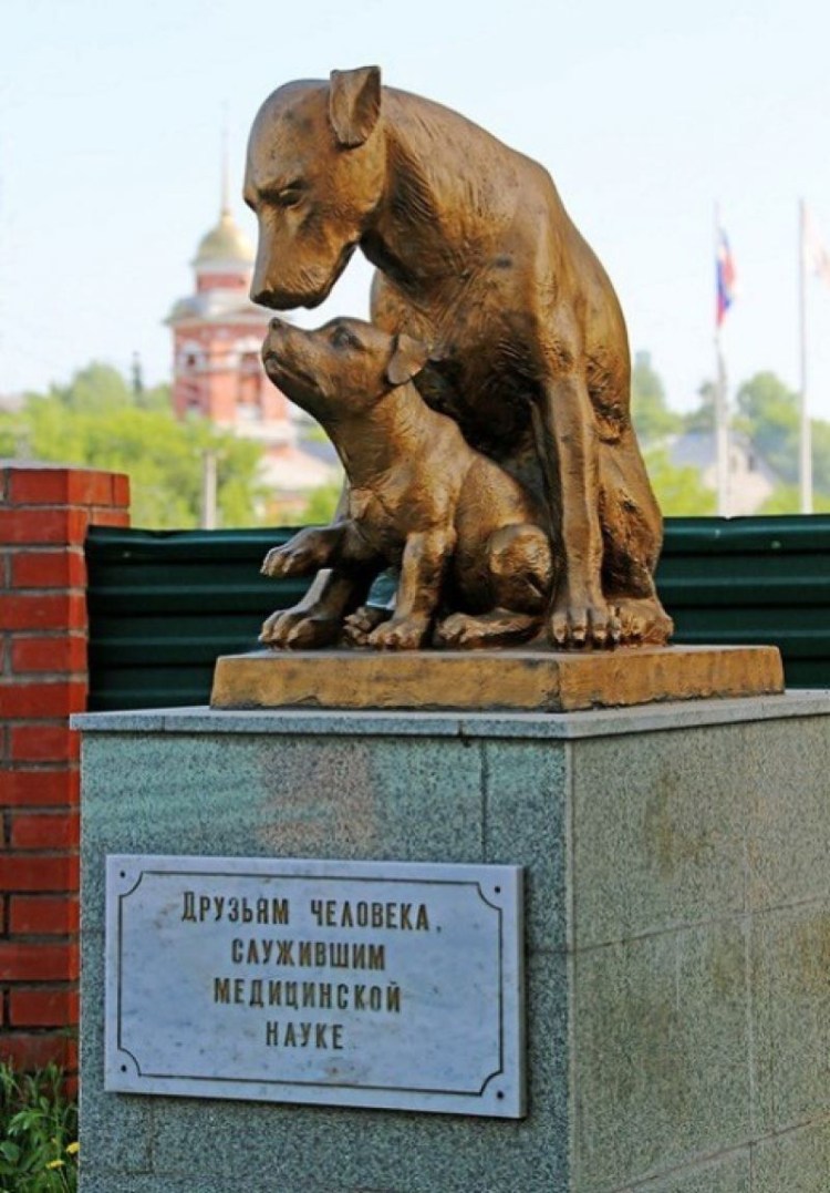 Памятники мира с собаками