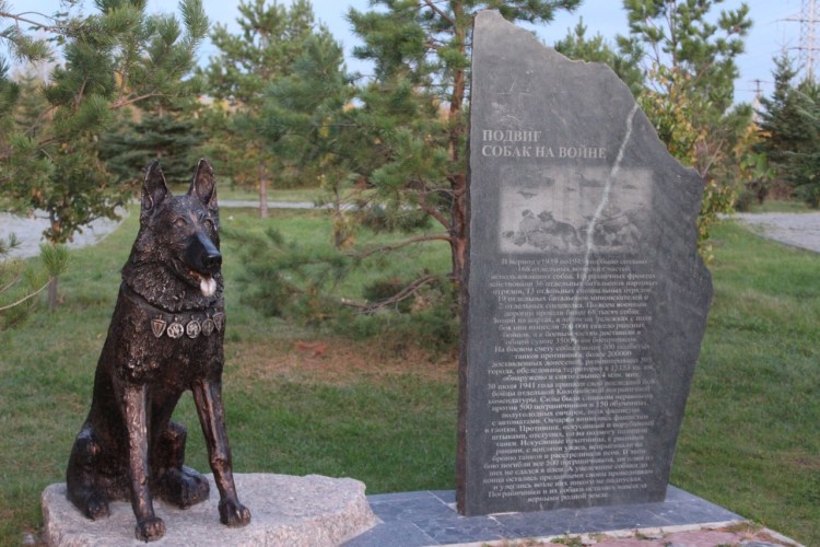 Памятник псу Юрику в новой Ладоге