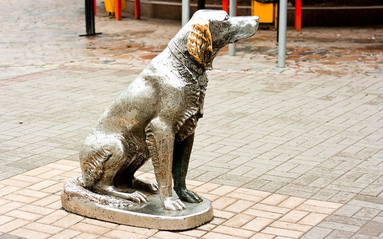 Памятник собаке лайке в Москве