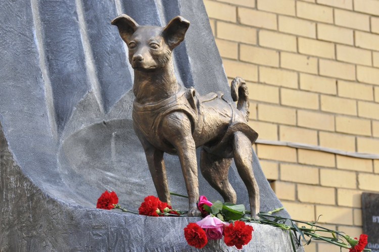 Памятник собаке Муму в Москве