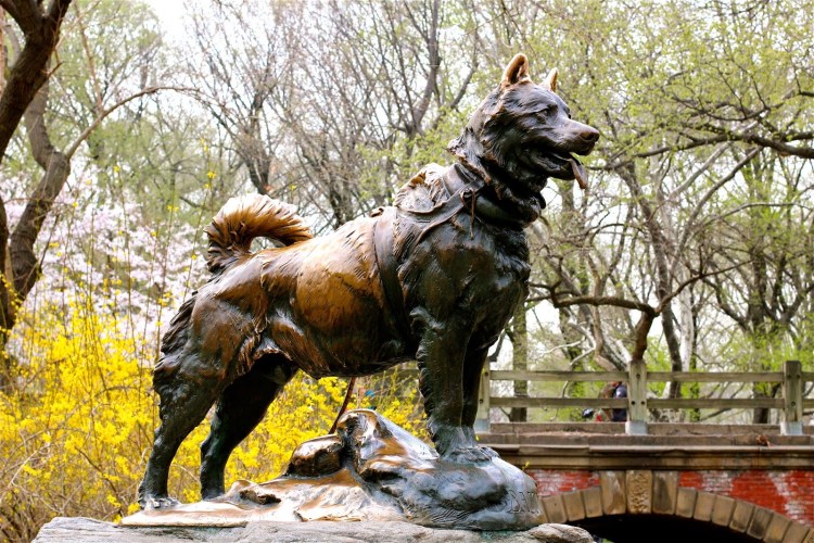 Скульптура собаки