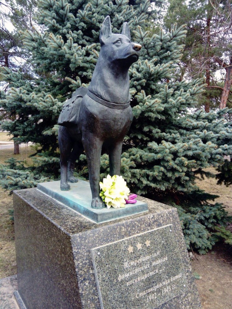 Памятник собакам истребителям танков в Волгограде