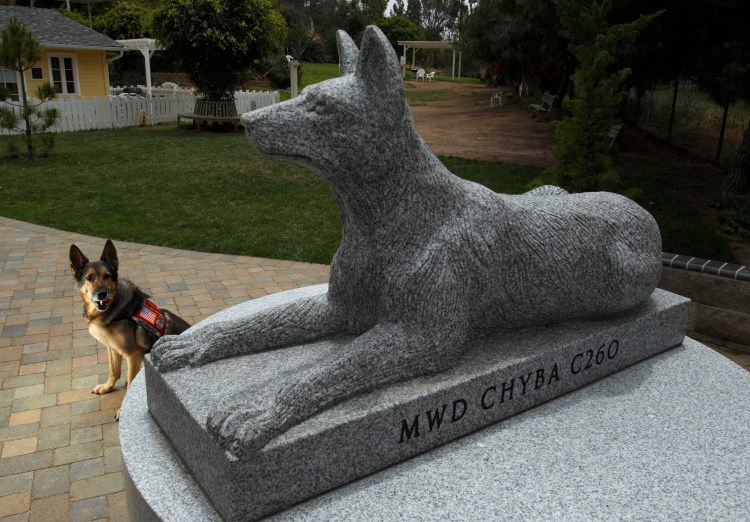 Памятник псу Бобке Кострома