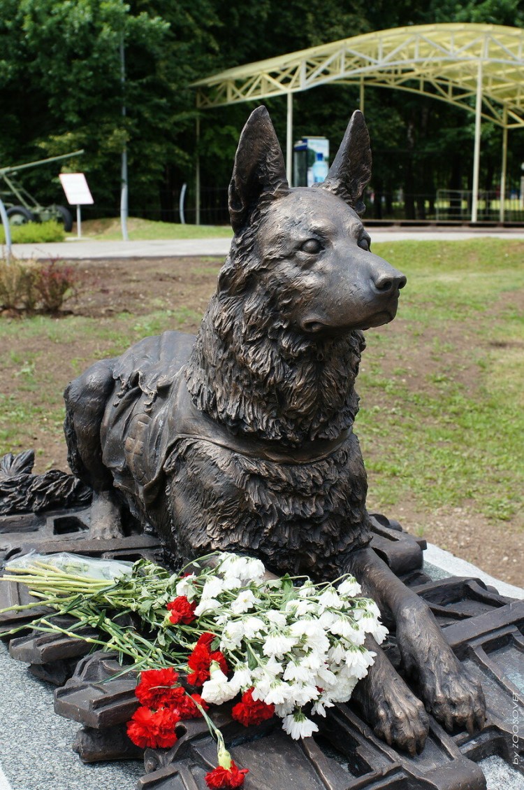 Памятник собаке Монти