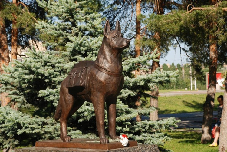 Памятник собакам истребителям танков в Волгограде