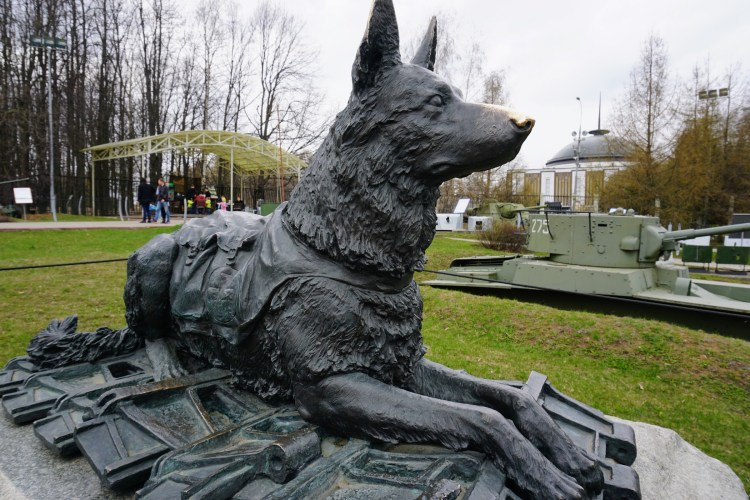 Памятник псу Бобке Кострома