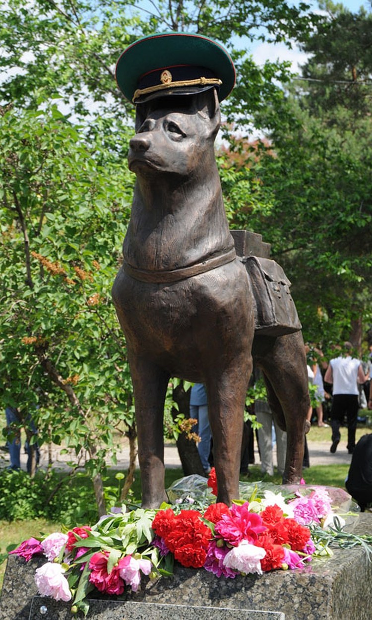 Лабрадор Барри памятник