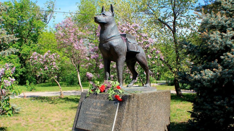 Памятник бездомной собаке в Тюмени