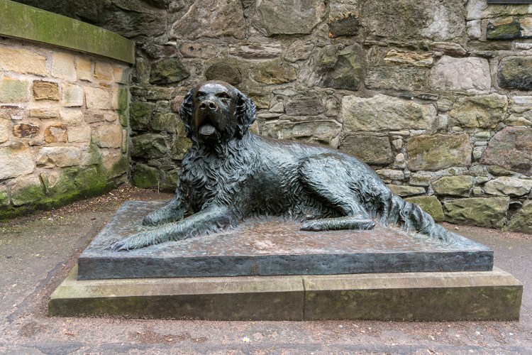 Памятник верному псу Тольятти