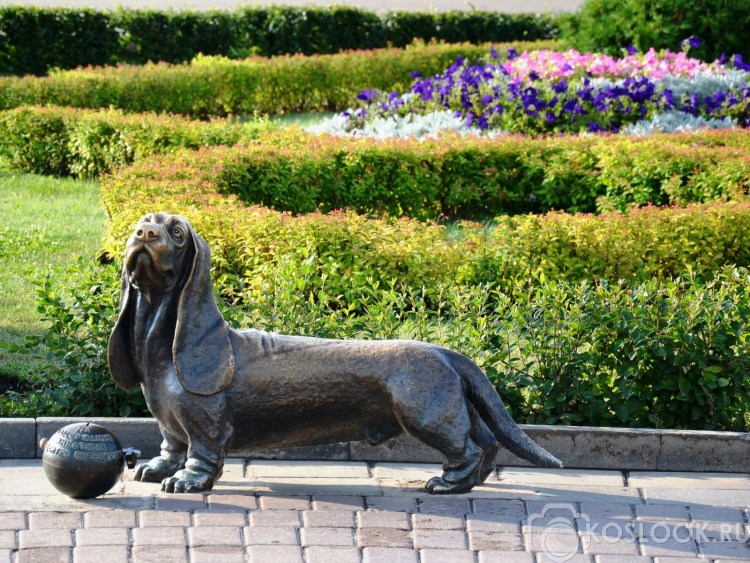 Памятник собаке по кличке Бим в Воронеже