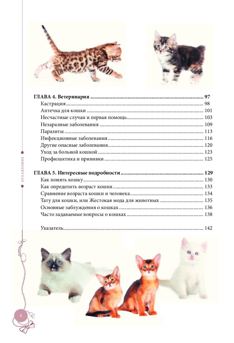 Определить Возраст котенка