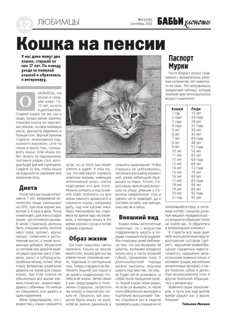 Пожилой Возраст у кошек