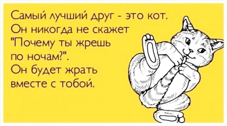 Соседи выучили уроки собака пересказала