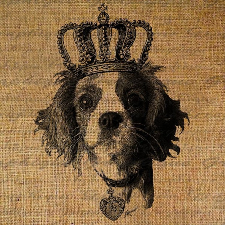 Собака с короной синей