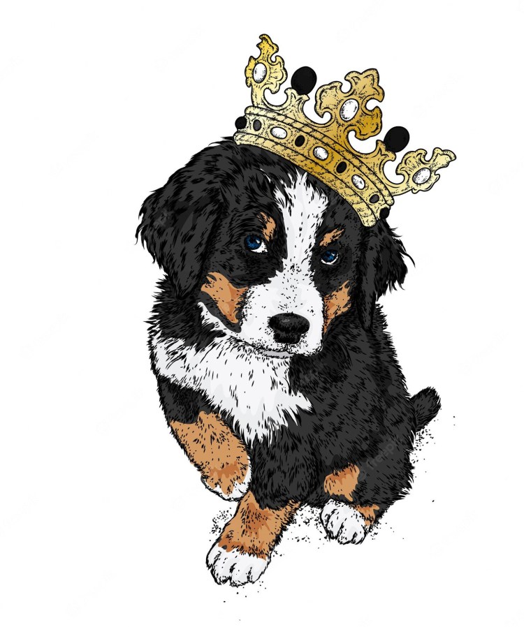 Королевский Лорд собака