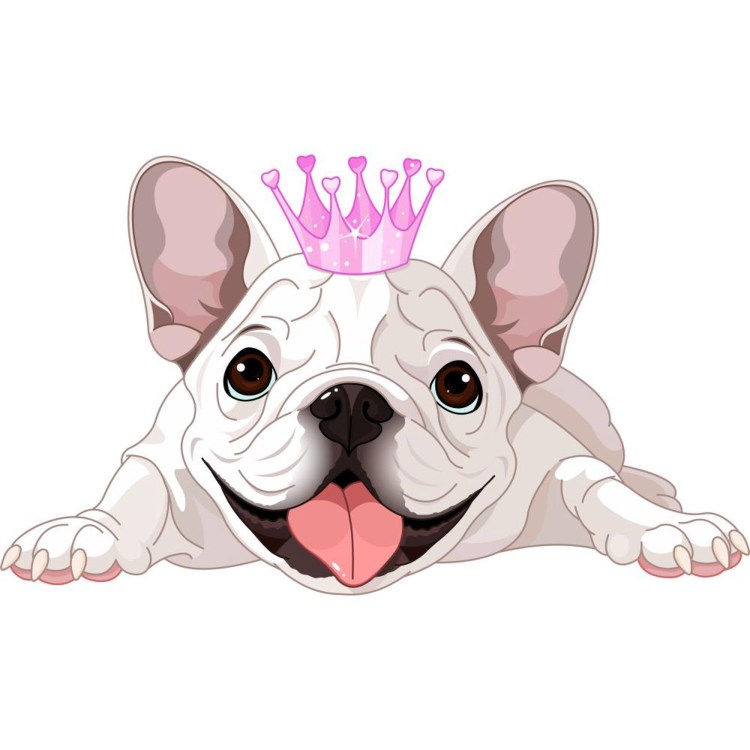 Кинг Чарльз спаниель с короной