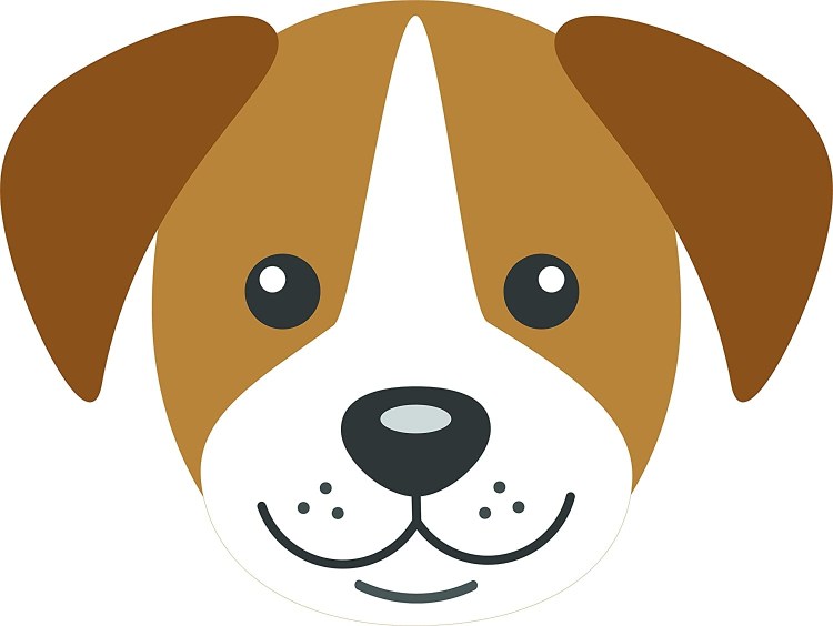 Бойцовская порода бультерьер