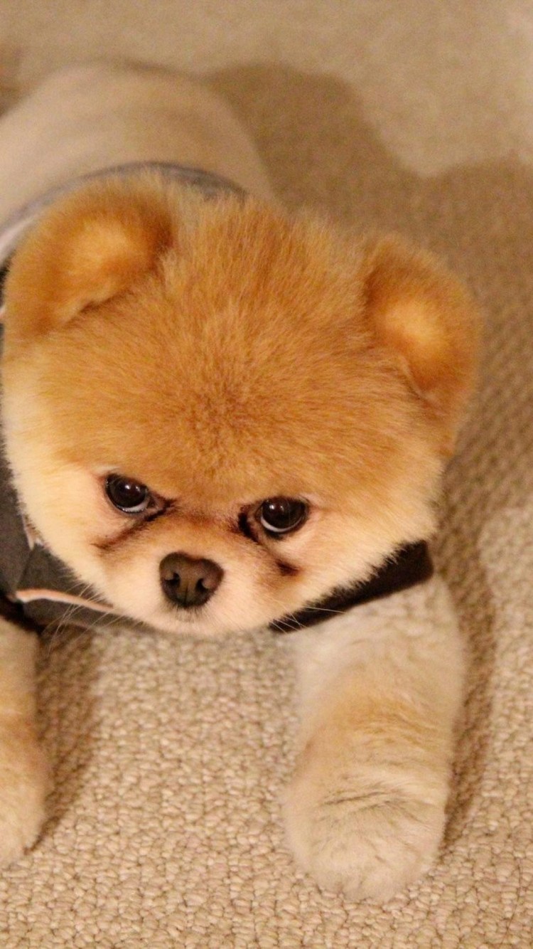 Телевизор olto 20t20h 19.5" (2019)