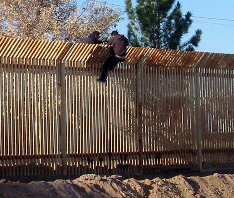 Собака за забором